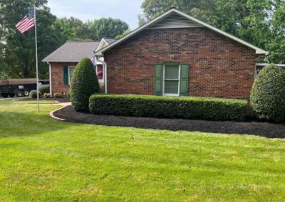 Trimming & Shrub Trimming